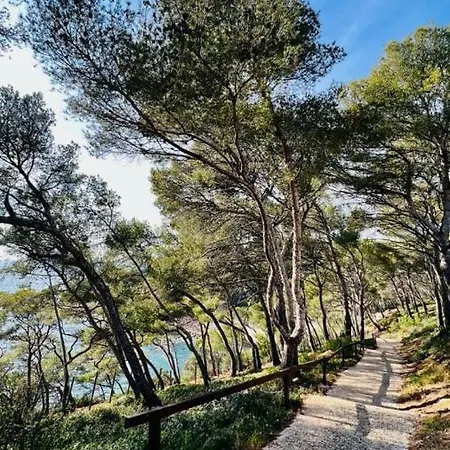 Superbe Dans Cadre D'exception - Piscine, Et Tennis Prive Bandol