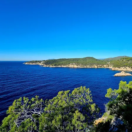 Superbe Dans Cadre D'exception - Piscine, Et Tennis Prive Apartment Bandol